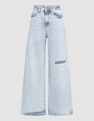 Icon Denim Kendall Light Blue